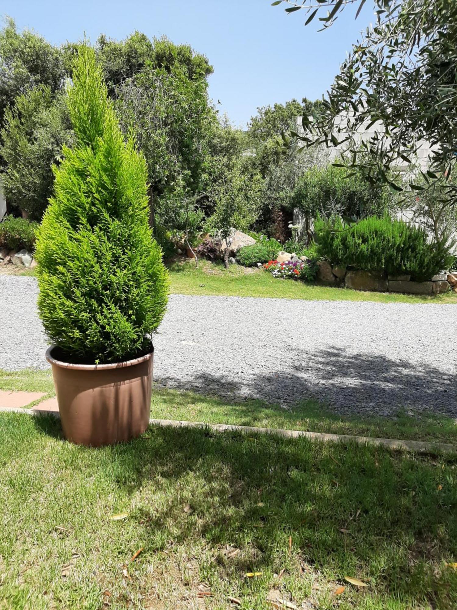 B&B Su Frascu Segau Teulada Esterno foto