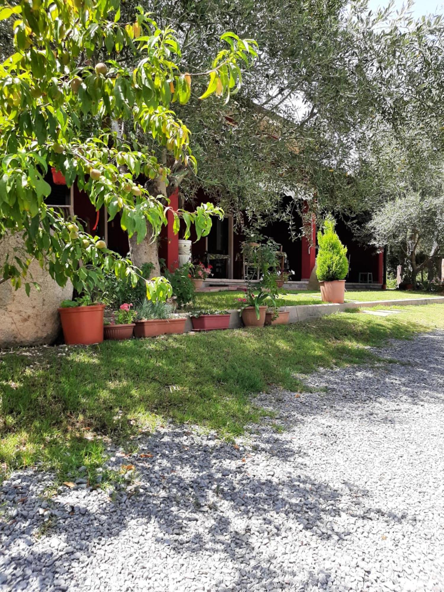B&B Su Frascu Segau Teulada Esterno foto